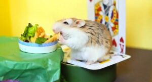 bo-u-an-cai-ngot-duoc-khong-2