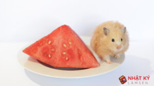 bo-u-an-dua-hau-duoc-khong-2