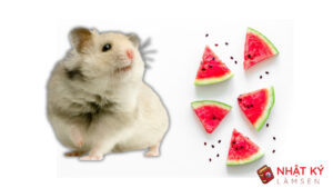 bo-u-an-dua-hau-duoc-khong