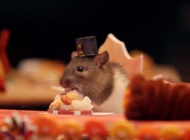 bo-u-an-luu-duoc-khong-2