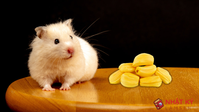 bo-u-an-mit-duoc-khong-1