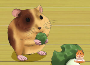 bo-u-an-rau-cang-cua-duoc-khong