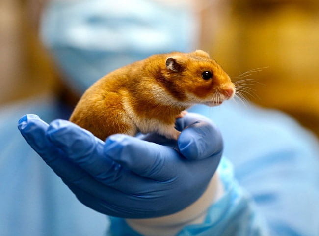 bo-u-bi-thua-canxi-2