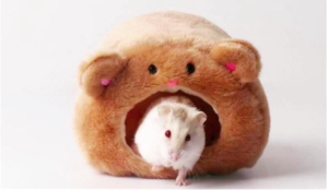 Bọ Ú Chịu Lạnh Được Không? 3 bo-u-chiu-lanh-duoc-khong-2