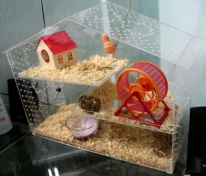 cach-lam-chuong-cho-chuot-lang-3