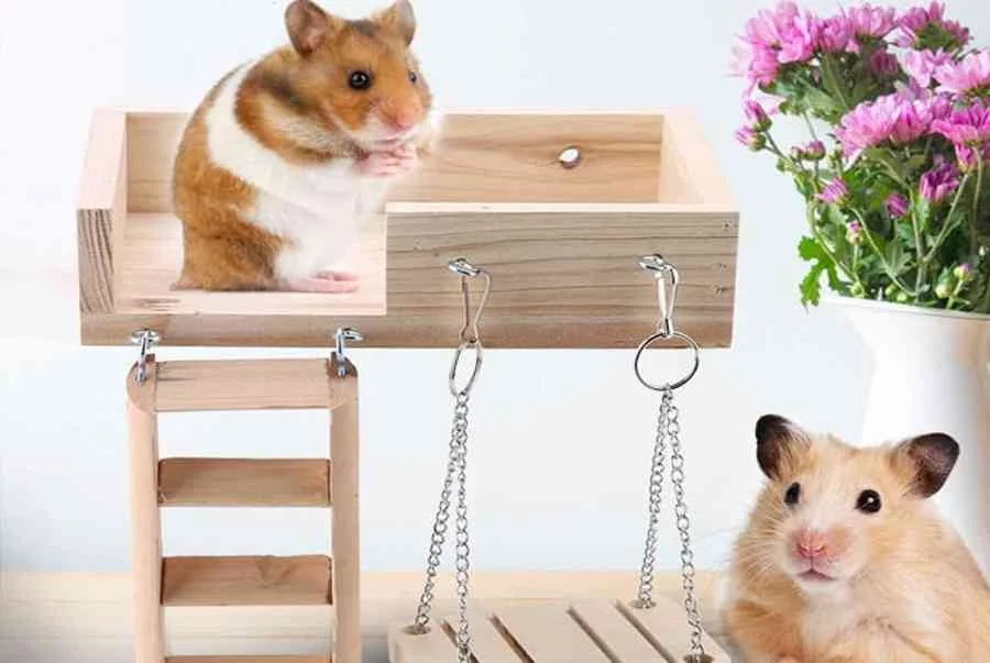 cach-lam-do-choi-cho-chuot-hamster-bang-chai-nhua