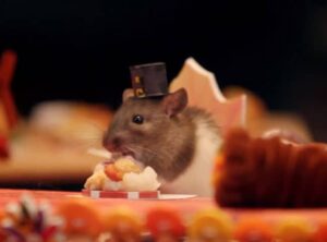 Tìm Hiểu: Chuột Hamster Có Ăn Được Cà Chua Không? 2 chuot-hamster-co-an-duoc-ca-chua-khong-1