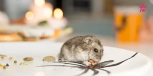 chuot-lang-bi-rung-long