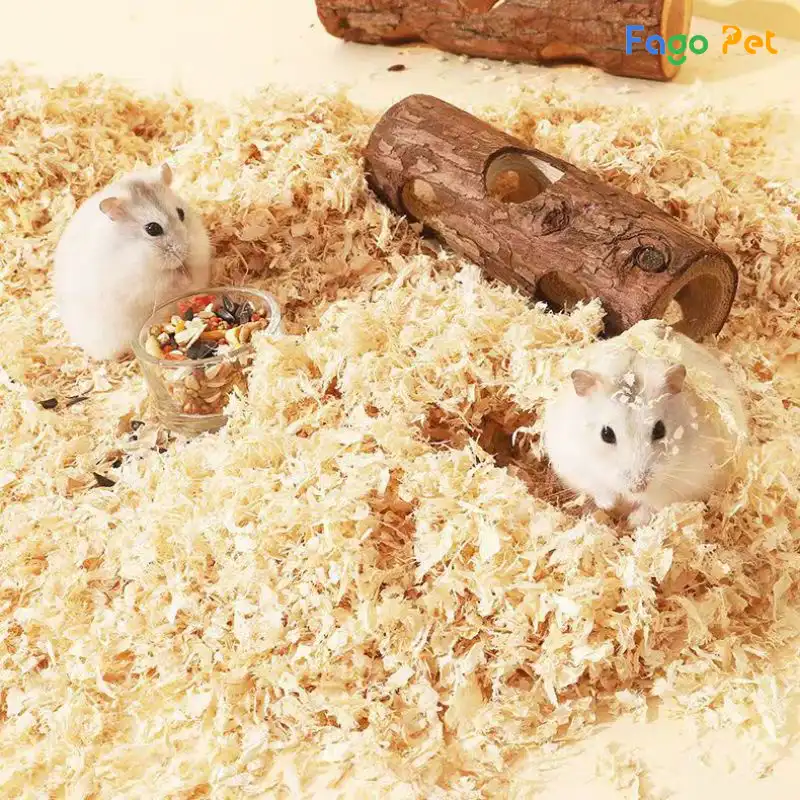 hamster-an-giay-ve-sinh-co-sao-khong-2