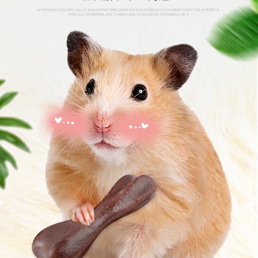 cach-lam-da-mai-rang-cho-chuot-hamster-3