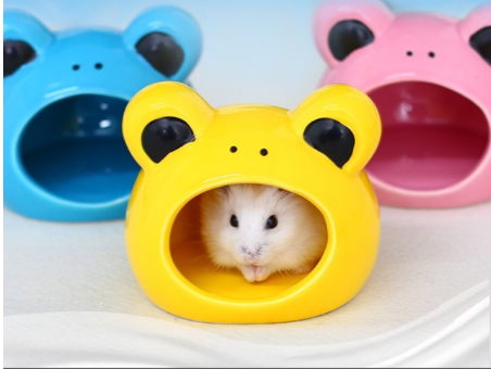 nha-ngu-cho-hamster-1