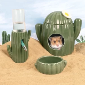 nha-ngu-cho-hamster-2