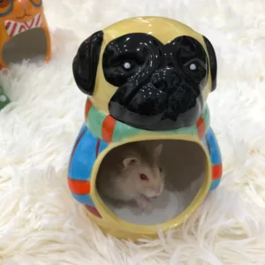 nha-ngu-cho-hamster-3