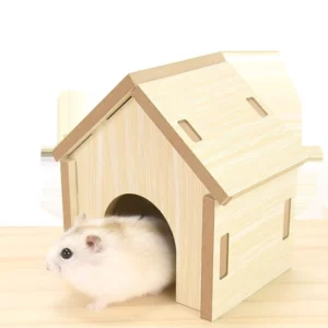nha-ngu-cho-hamster