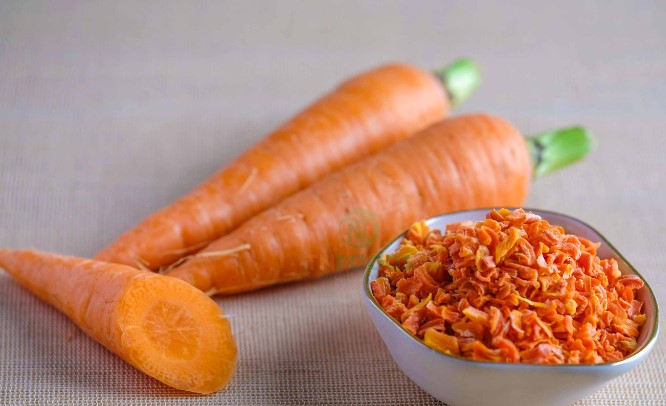 cach-lam-ca-rot-say-cho-hamster