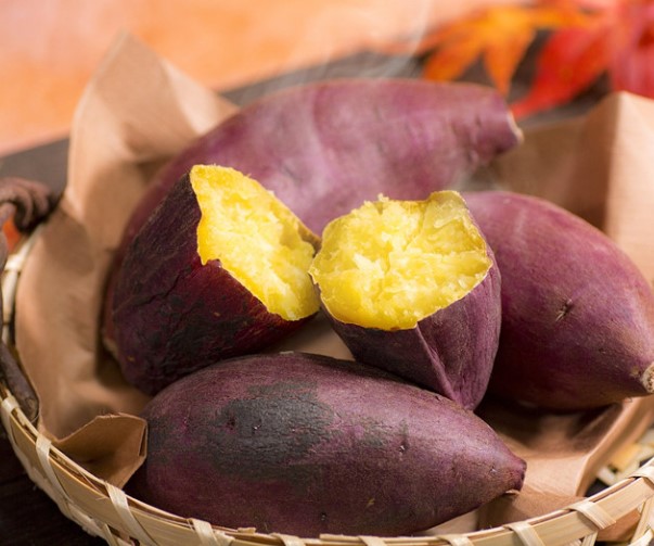 chuot-hamster-co-an-duoc-khoai-lang-khong