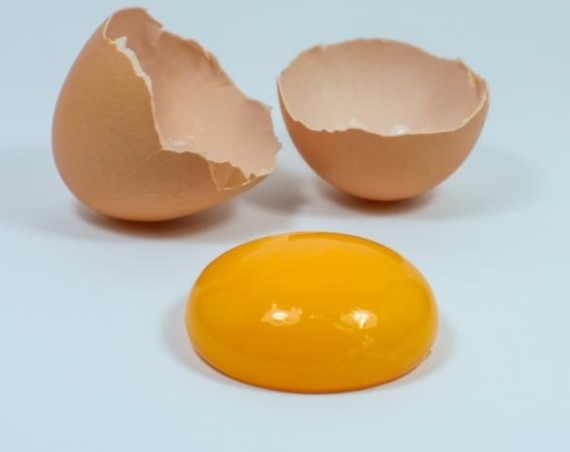 hamster-an-long-do-trung-ga-duoc-khong