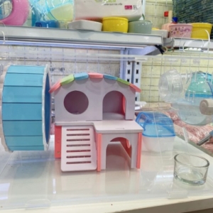 long-mica-1-tang-cao-cap